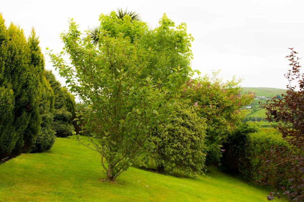 Bed and Breakfast Garron View Cushendall Esterno foto